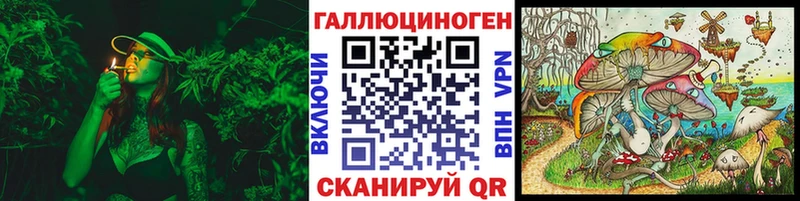 Галлюциногенные грибы Magic Shrooms  Красноперекопск 